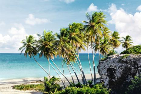 Destinationsbild Mein Schiff Barbados
