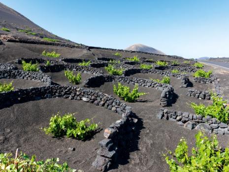 Destinationsbild Mein Schiff Lanzarote