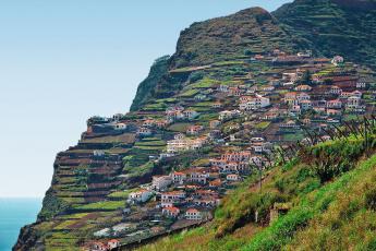 Blumeninseln Madeira