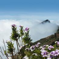 Kanaren mit Madeira mit Mein Schiff